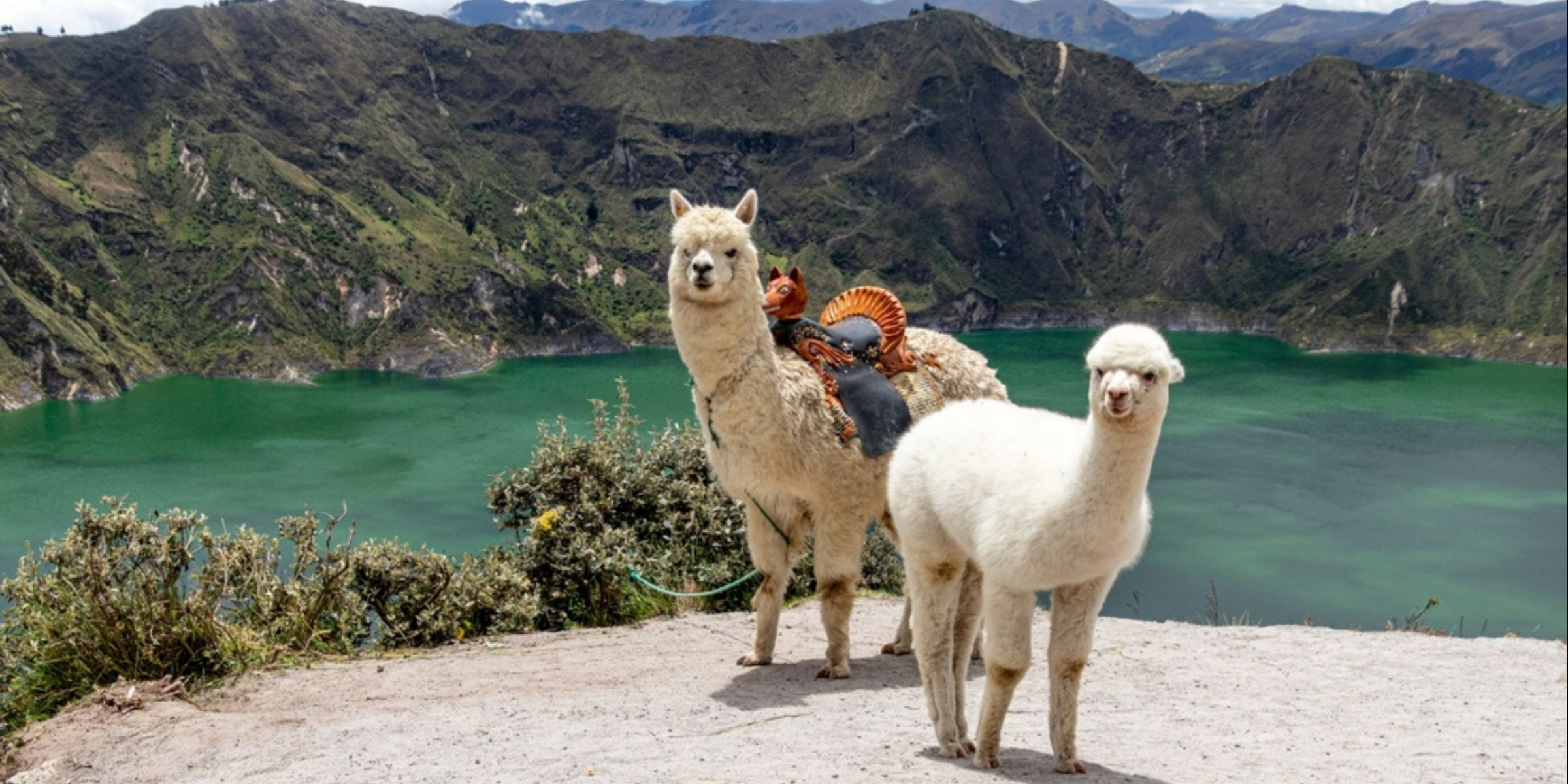 Ecuador