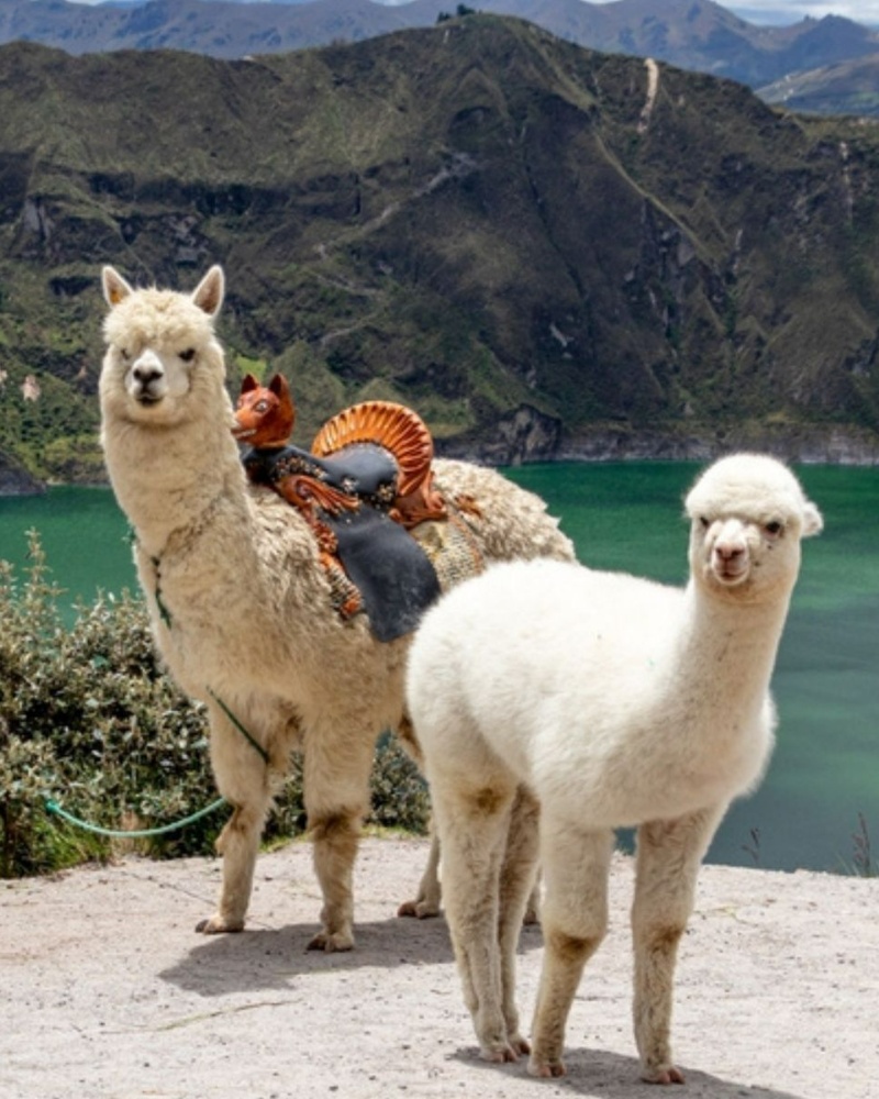 Ecuador