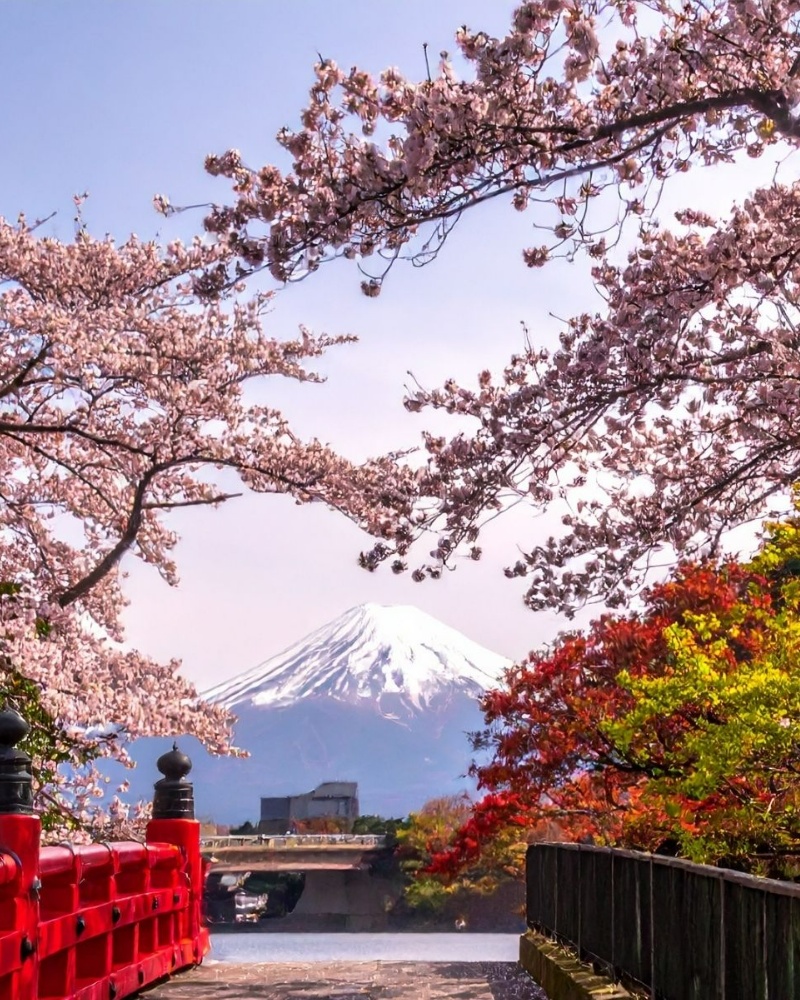 Japan