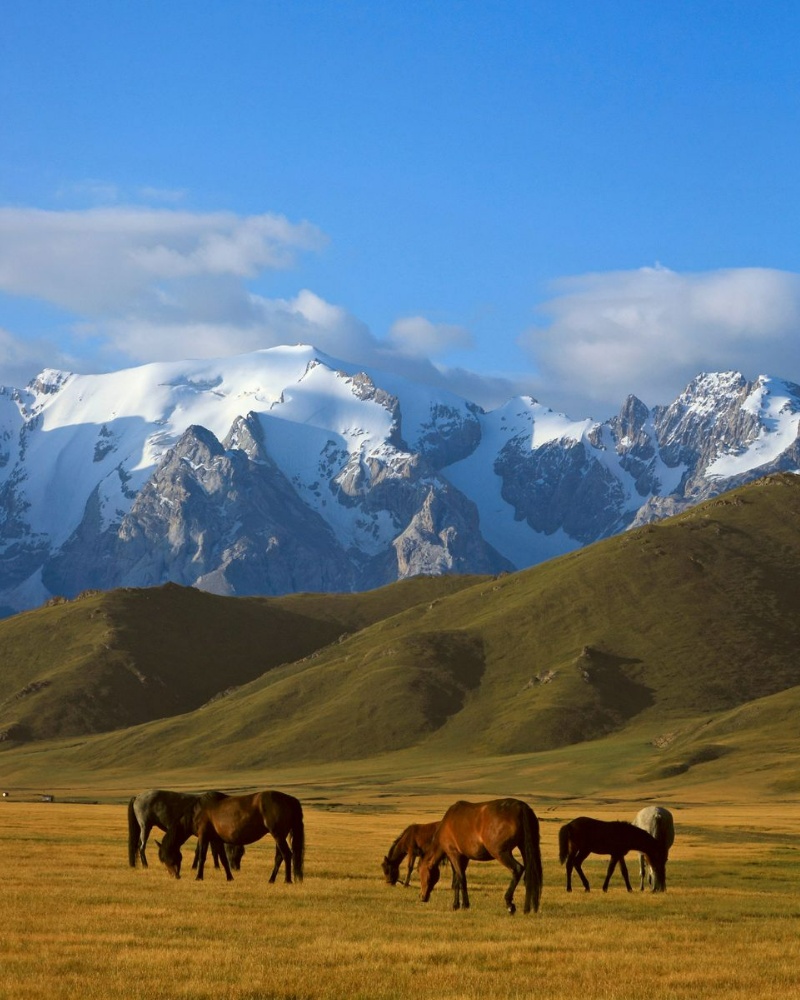 Kyrgyzstan
