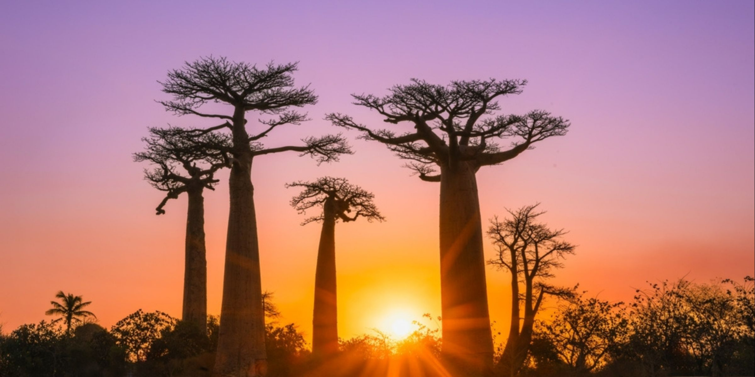 Madagascar