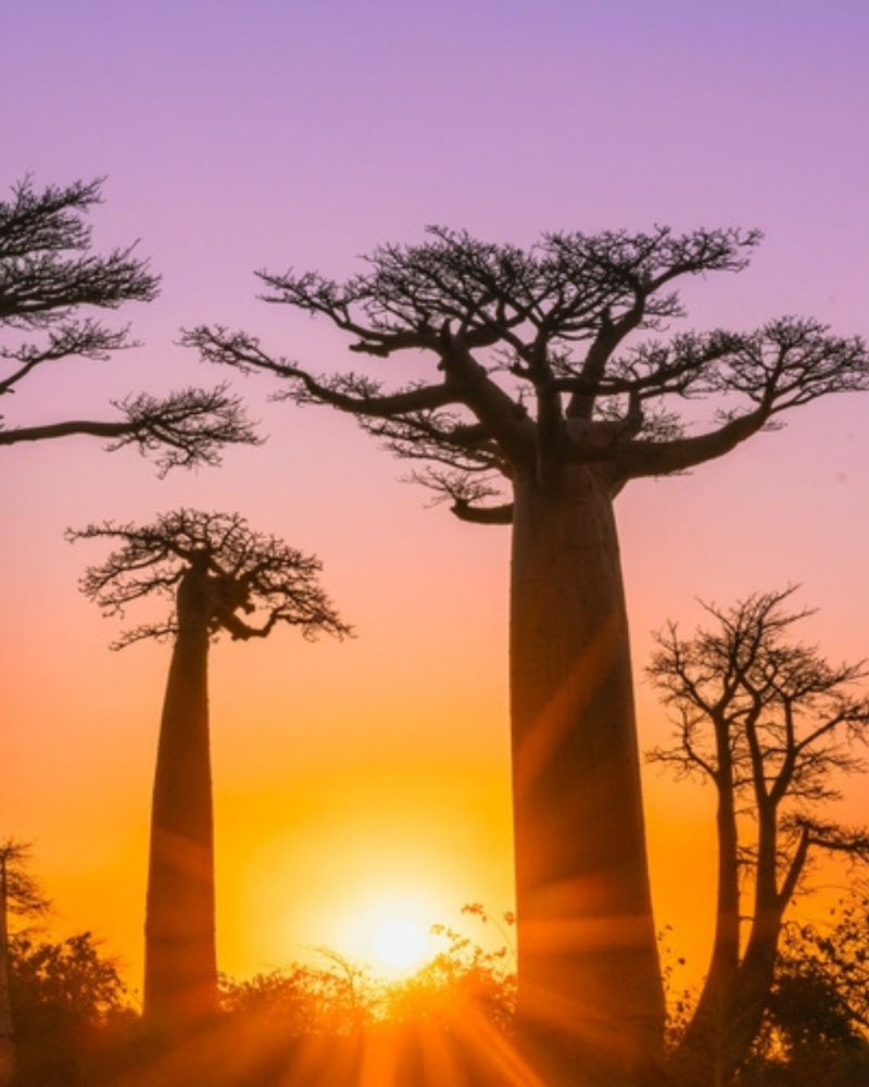 Madagascar