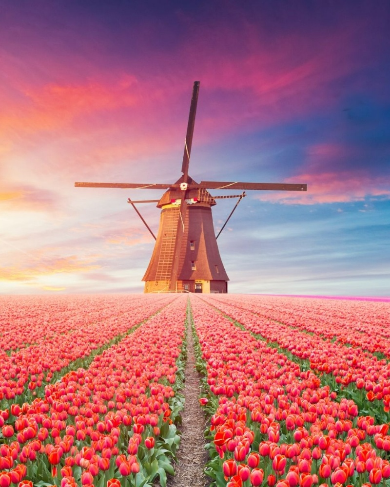 Netherlands