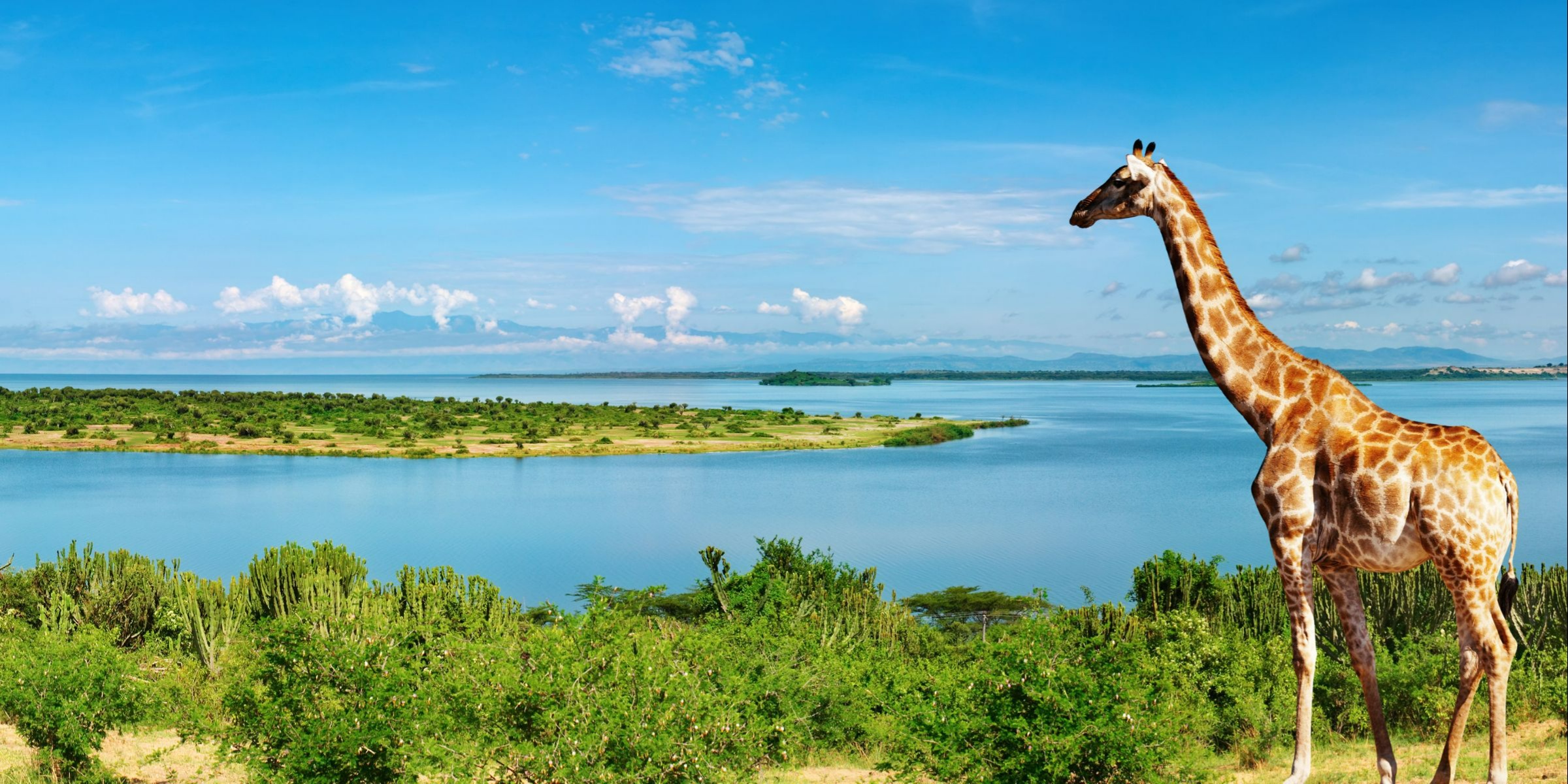 Uganda