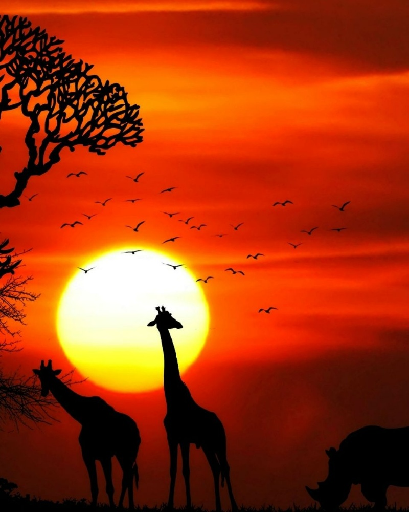 South Africa