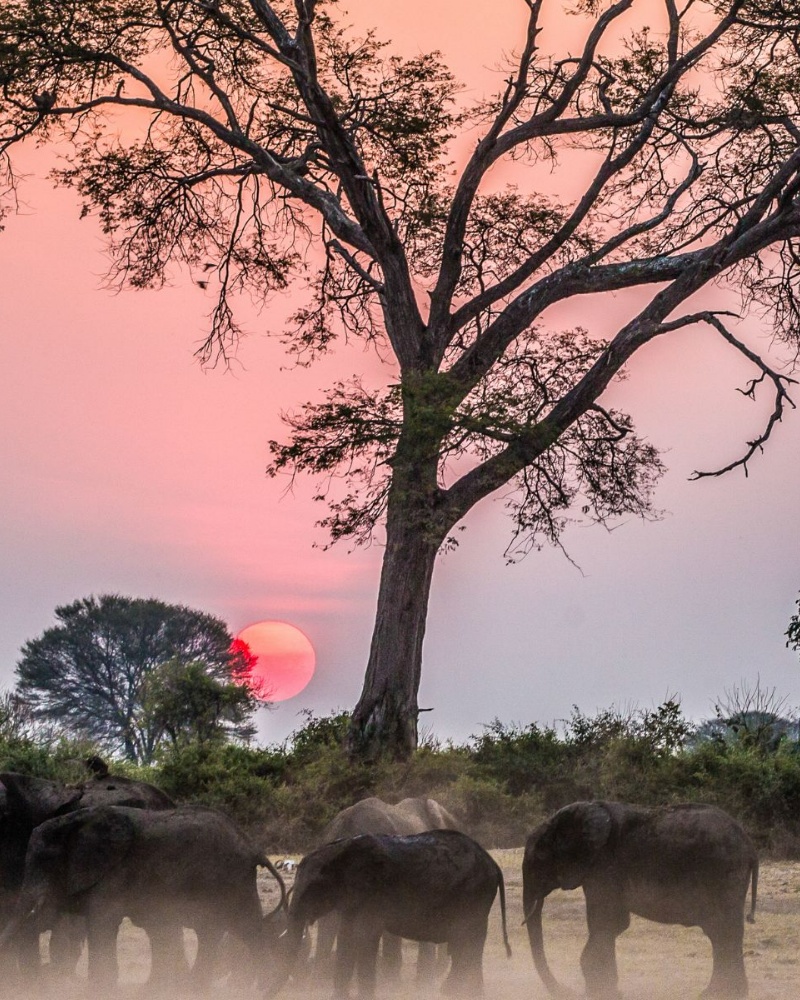Zimbabwe